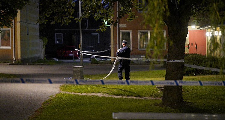 Poliser i mörkret på en gräsmatta.