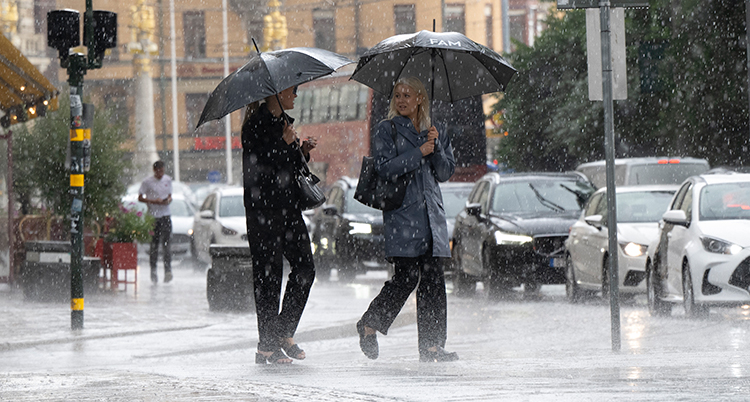 Två personer med paraplyer går i en stad med bilar. Det regnar mycket.