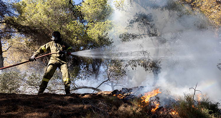 En brandman släcker elden i skogen med vatten från en slang.