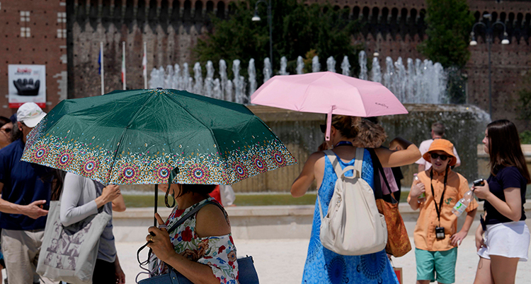 Människor går med paraplyer i en stad .