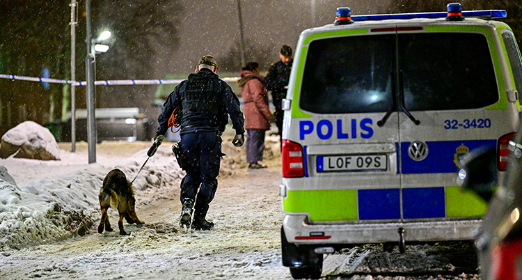 En polisbil står parkerad. Det är snö på marken. En polis går med en hund.