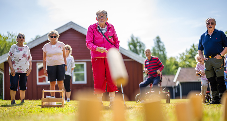 Flera personer står på en gräsmatta framför ett kubbspel.