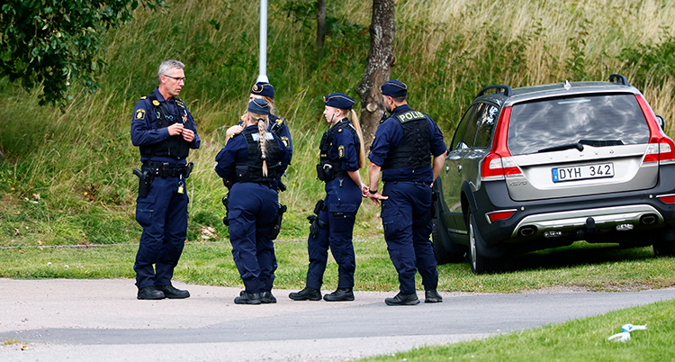 Flera poliser står på en gräsmatta och pratar med varandra .