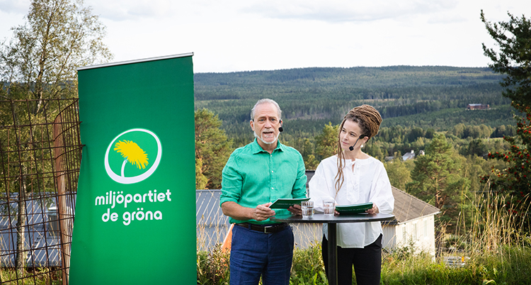 De står bredvid varandra. Bakom dem syns granar och fjäll.