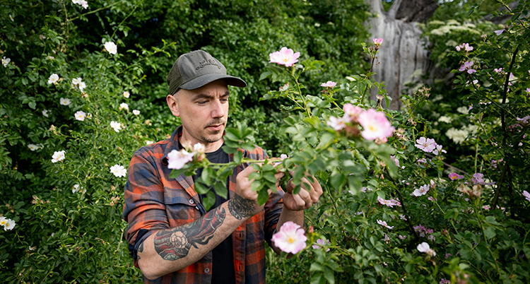 Han står vid en buske med rosa blommor.