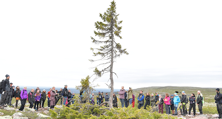 VICTORIA LANDSKAPSVANDRING DALARNA