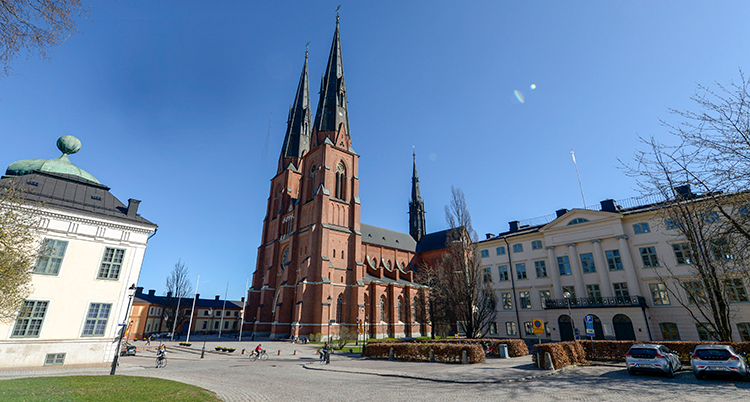 Domkyrkan i Uppsala med några andra hus vid sidan om.