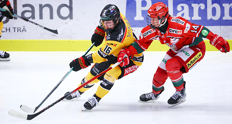 Från en match i ishockey mellan lagen Luleå och Modo.