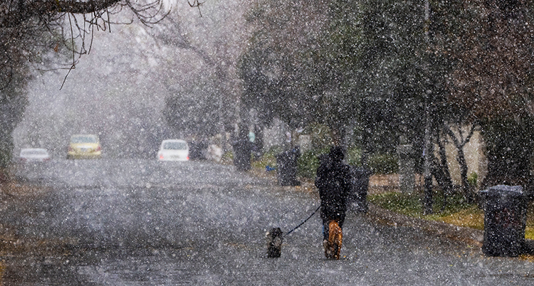 En person promenerar med sin hund medan det snöar.