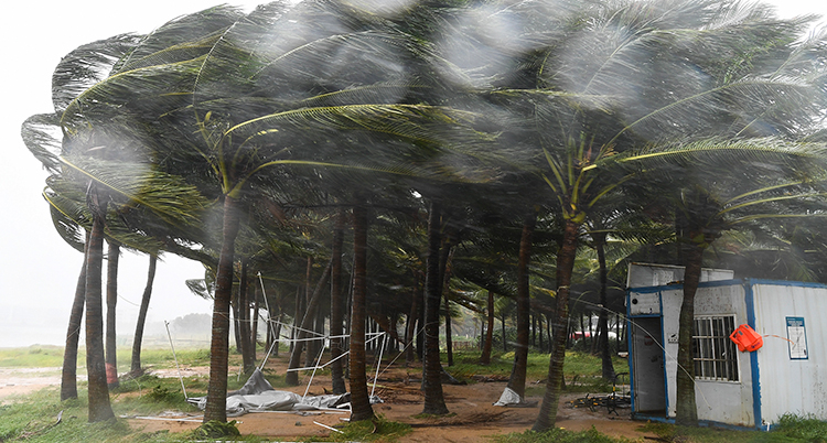 China Asia Typhoon