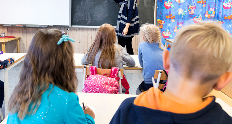 Ryggarna på elever i en skola. En lärare står längst fram i klassrummet.