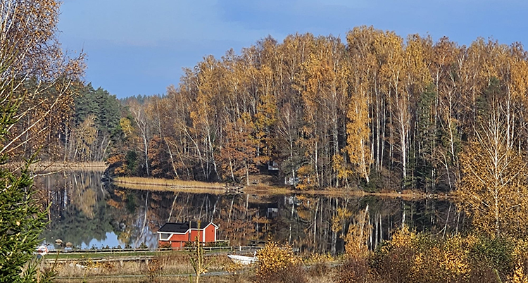 En sjö. Gulbruna träd längs stranden. Ett rött skjul. En båt som ligger på land.