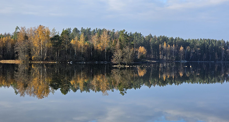 BrigittaCarlsson. Vindommen i Skedshult, Edsbruk3