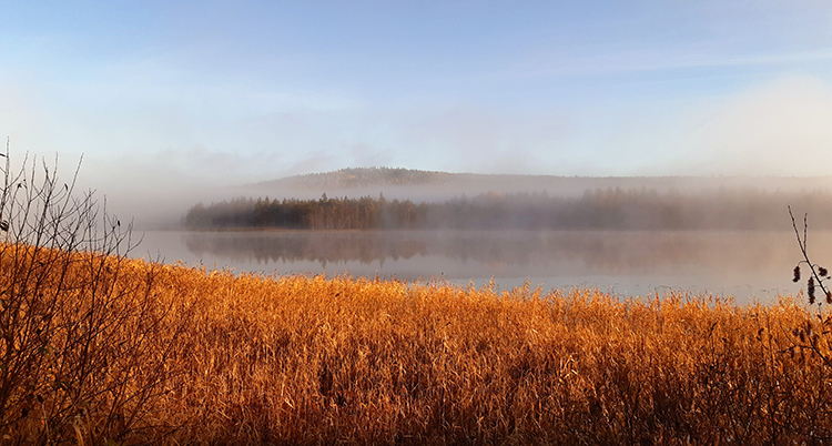 Hofors, Gävleborg2