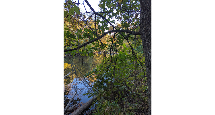 Rock Creek Park, Washington D.C.Ellen Prentiss Campbell