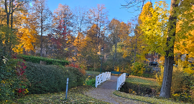 En vit träbro i en park. Träden är gula.