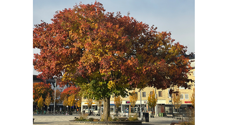 Trollhättan2