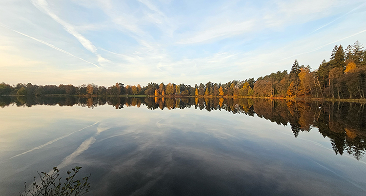 Skogen speglar sig i vattnet vid en sjö.