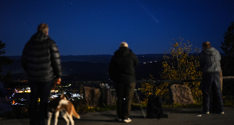 Människor står i mörkret och tittar på himlen.