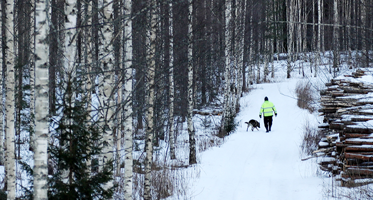 En man är ute och går i skogen med sin hund.