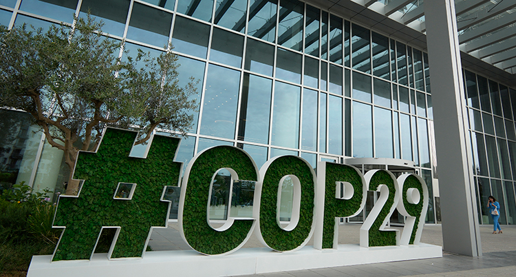 COP29 Climate Summit