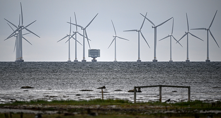 Vinkraftverk som står ute i havet.