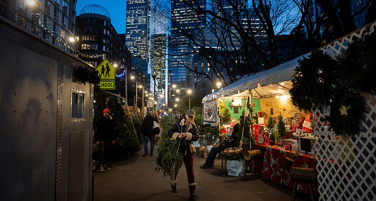 New York Christmas Trees