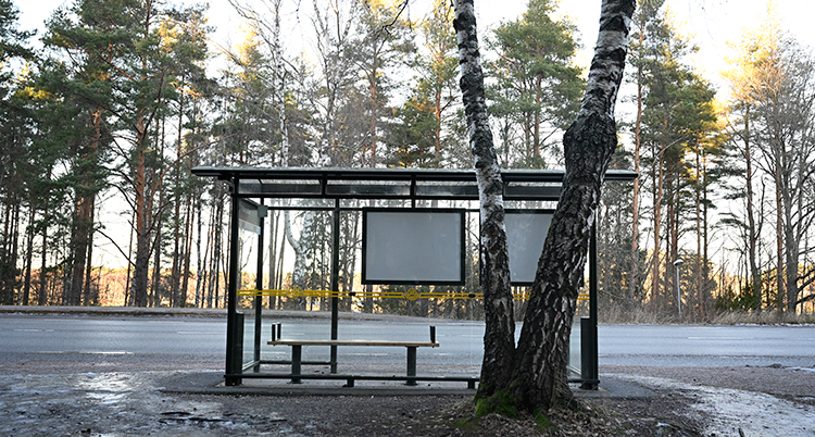 En busshållsplats och några träd.