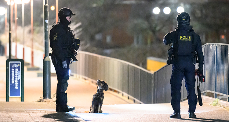 Två poliser och en liten hund vid en gångbro. Det är mörkt ute.