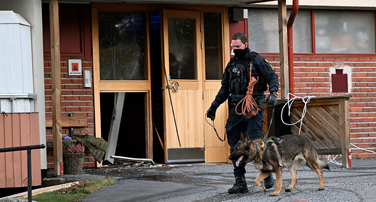 En polis med en hund utanför ett hus med lähgenheter. Porten är skadad.