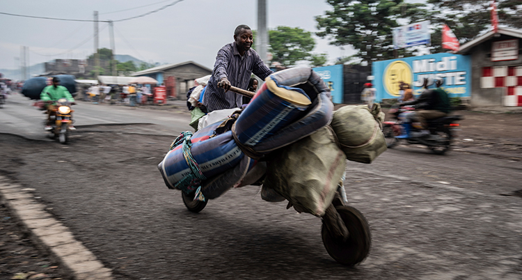 Congo Fighting