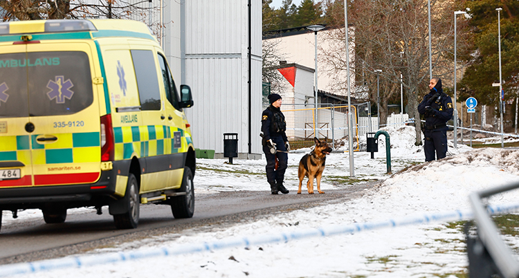 En ambulans och två poliser med en hund utanför skolan.