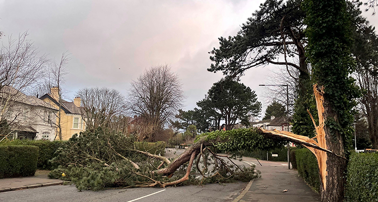 Northern Ireland Storm