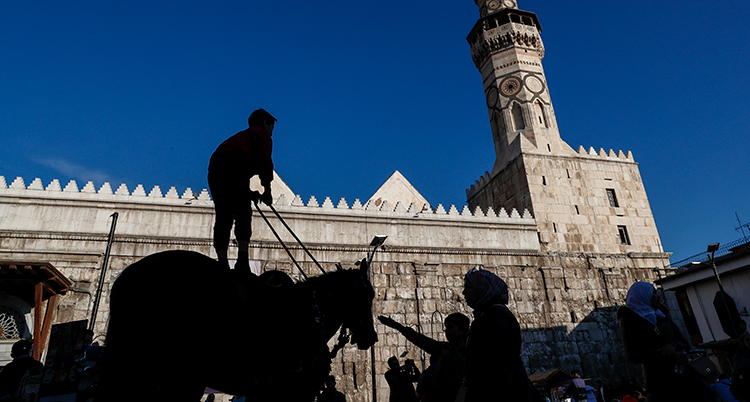 Syria Daily Life