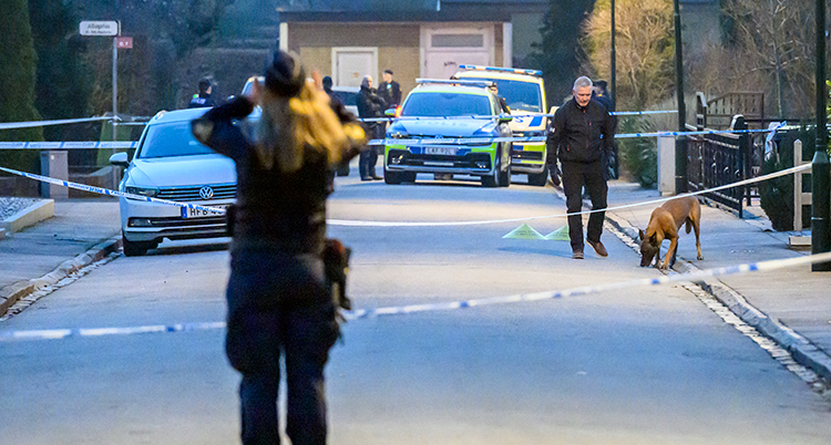 Två poliser och en hund på gatan.