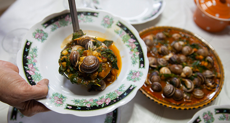 Tunisia Snails