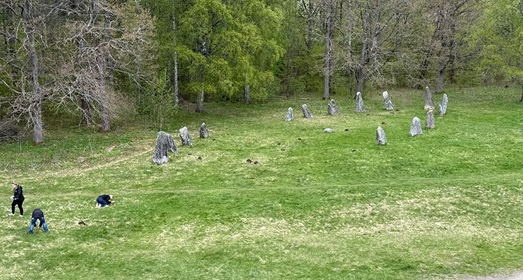 Ett område med gamla gravar.