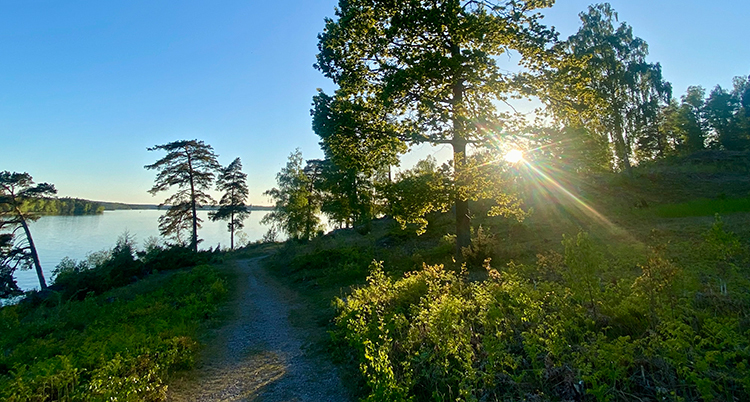 Ett landskap med sjö, träd, sol och blå himmel.
