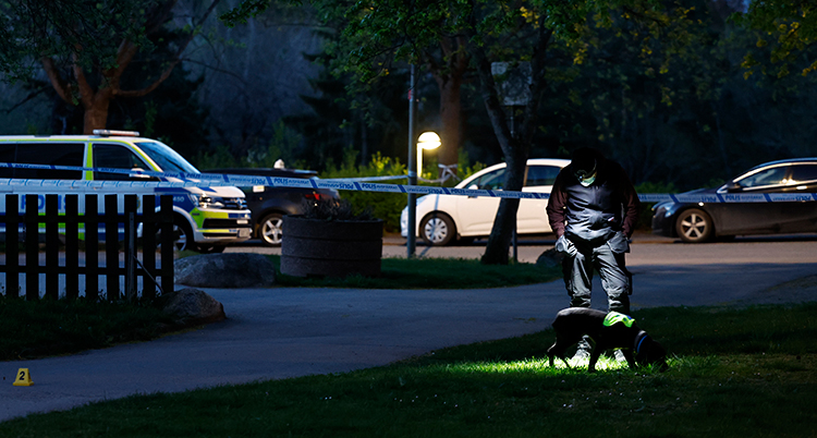 De är utomhus, det är mörkt. En polis lyser med ficklampa. Han håller i ett koppel till en hund som sniffar i gräset.