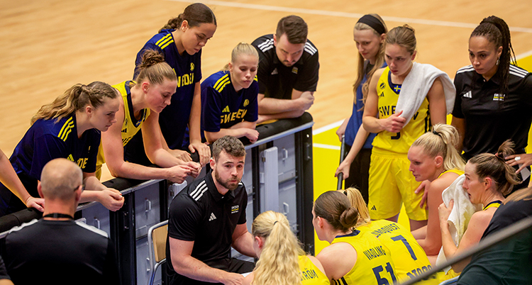Flera spelare i basket. Några står upp. Några sitter ner. De pratar.