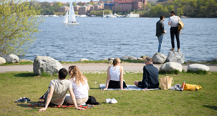 Personer sitter på filtar på en gräsmatta vid vattnet. Det är soligt väder.