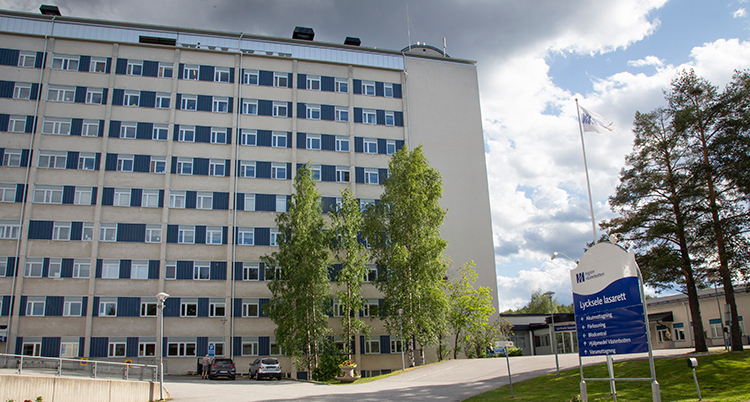Bild på ett stort hus.
