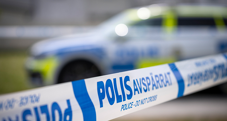 Polisband och en polisbil.