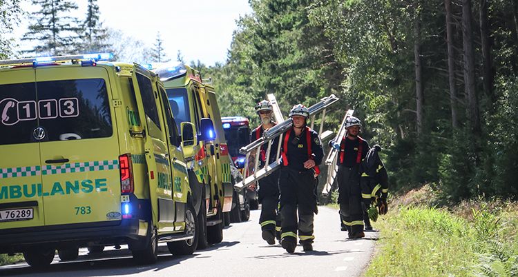 De bär på stegar. Det står många ambulanser längs vägen.