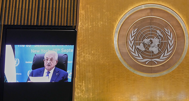 UN General Assembly