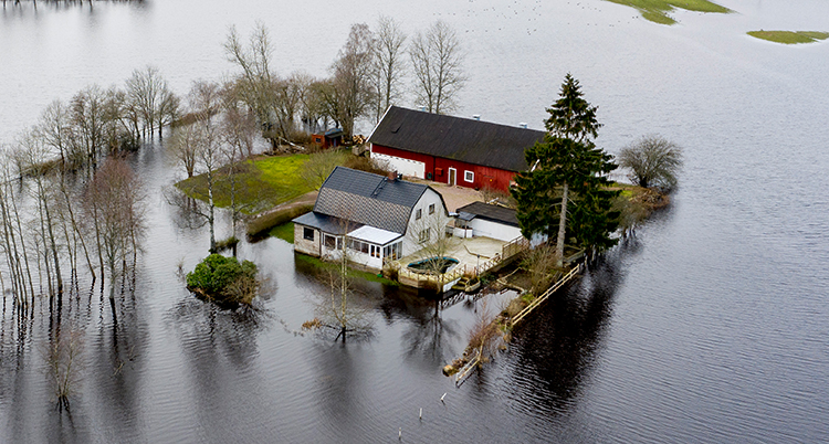 En gård med hus och lagård står i vatten.