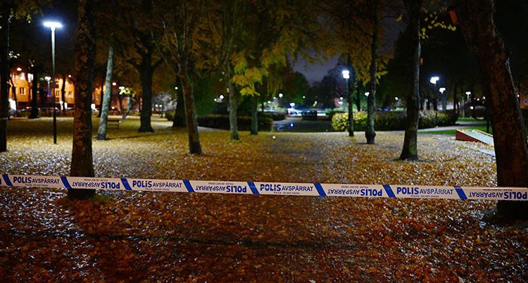 Det är mörkt. Det är kväll. Det ligger höstlöv på marken. Poliserna har spärrat av med band i en park i Gävle.