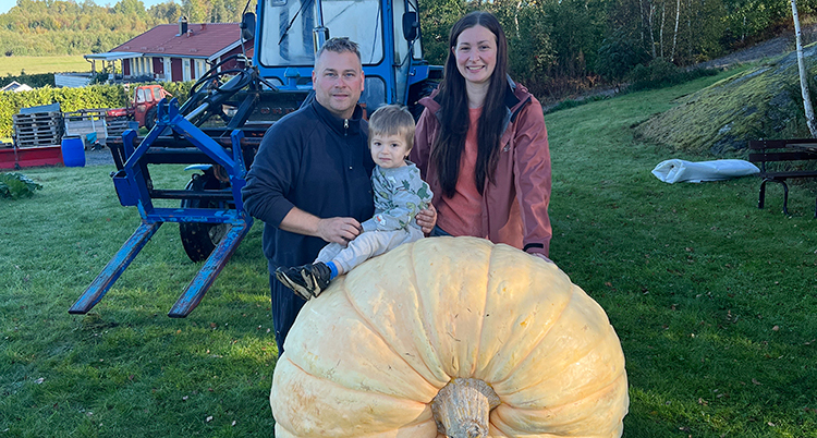 En man, en kvinna och ett barn står vid en stor pumpa.