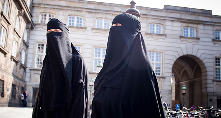 Denmark Burqa Ban