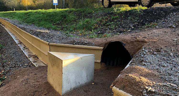 grodväg
